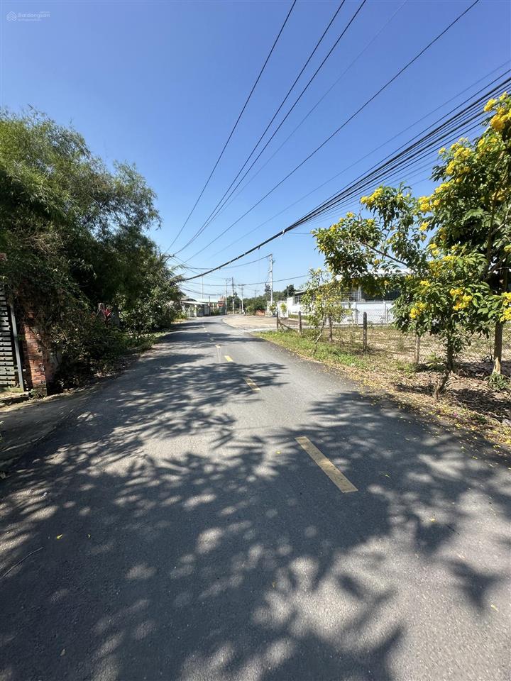 Tôi cần tiền bán ngộp lô đất 103,8m2 giá 1 tỉ 550 ngay chợ phú hòa đông dân cư đông đúc hiện hữu.