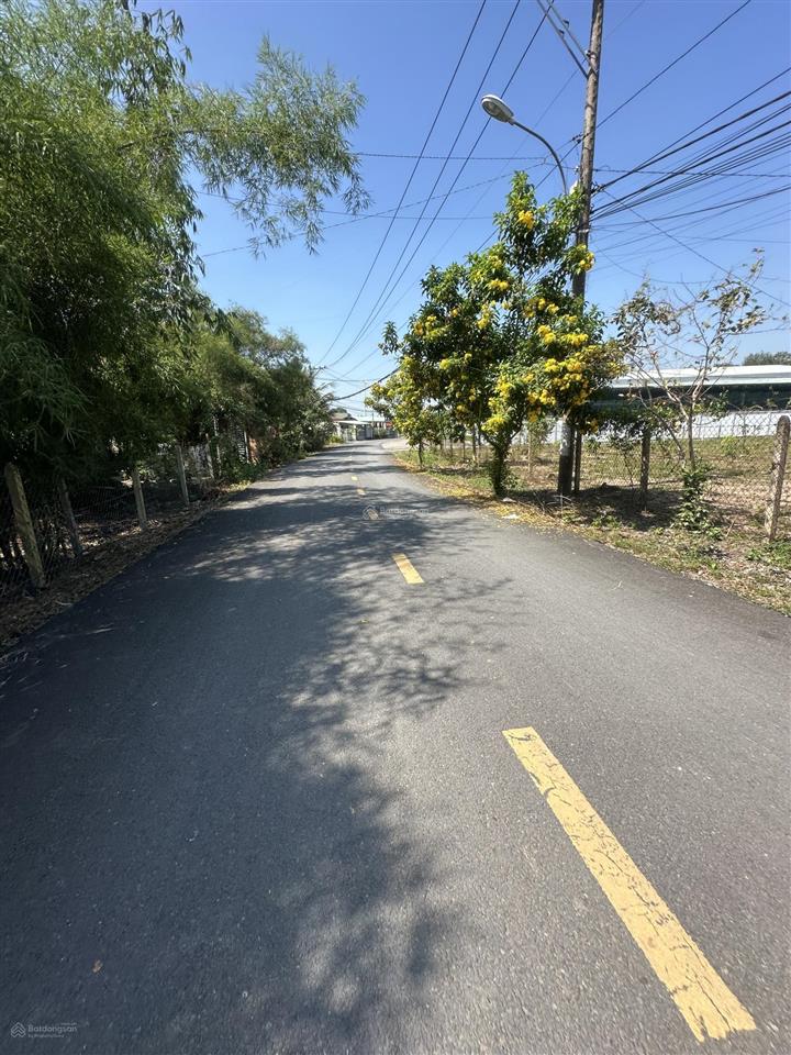 Tôi cần tiền bán ngộp lô đất 103,8m2 giá 1 tỉ 550 ngay chợ phú hòa đông dân cư đông đúc hiện hữu.