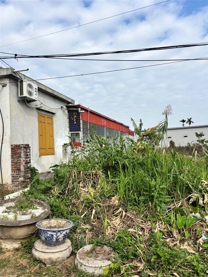 ĐẤT 90,2M² QUANG TRUNG MINH ĐỨC – CÁCH THƯỢNG ĐỨC HƠN 100M – GIÁ 1,5X TỶ HIẾM TẦM TIỀN 