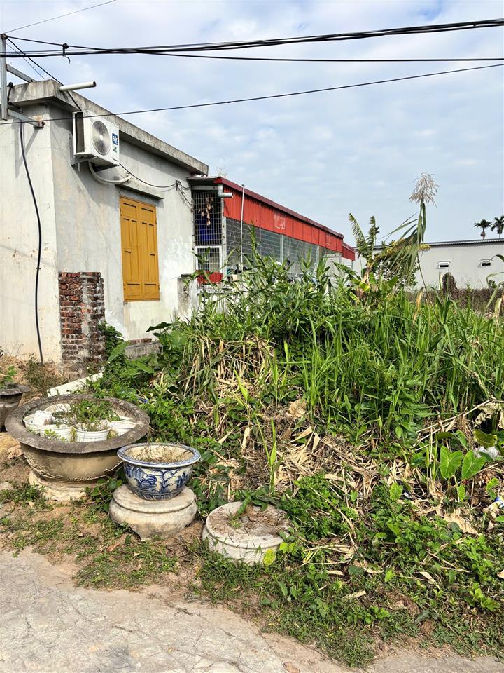 ĐẤT 90,2M² QUANG TRUNG MINH ĐỨC – CÁCH THƯỢNG ĐỨC HƠN 100M – GIÁ 1,5X TỶ HIẾM TẦM TIỀN 