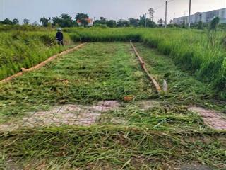 *CHÍNH CHỦ CẦN BÁN GẤP LÔ ĐẤT GIÁ RẺ NGAY XÃ TÂN LÂN, CẦN ĐƯỚC, LONG AN