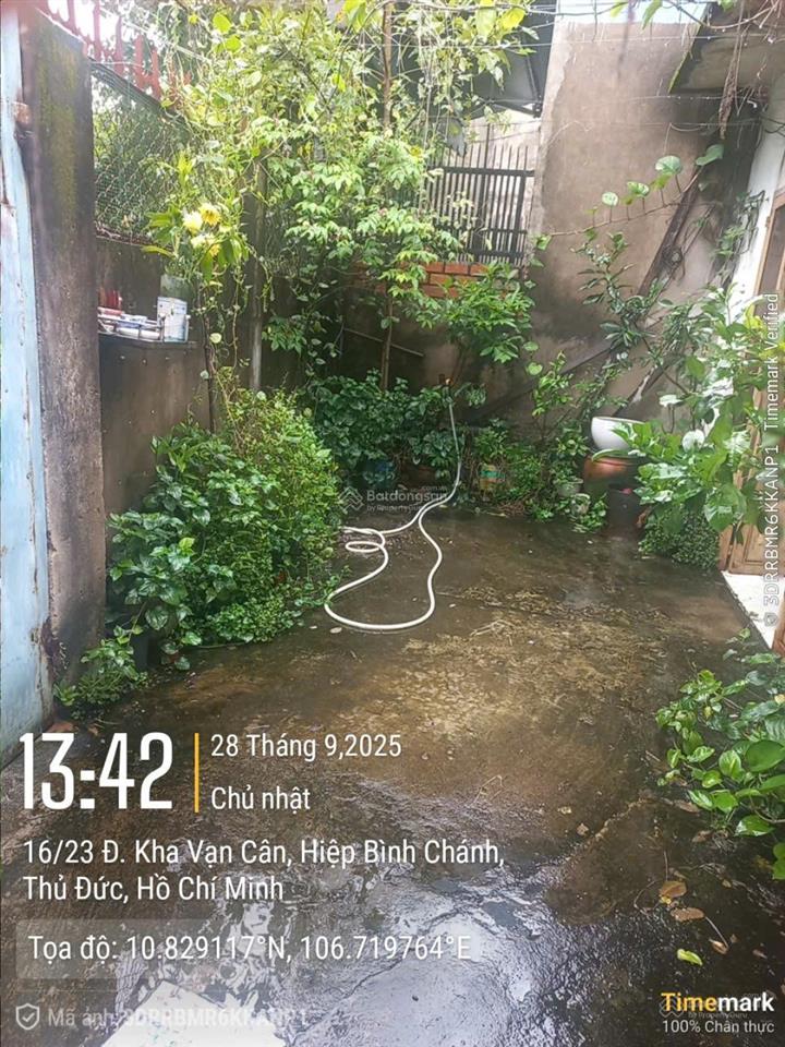Nhà cấp 4 ngang 8m dài 16m (133m2) hẻm trước nhà 2,5m sổ hồng. 7,3 tỷ còn thương lượng