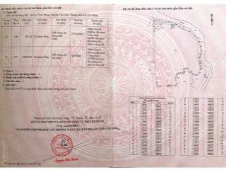 Bán gấp đất nền an thới đông, cần giờ, 2,3 triệu / m2, 23110 m2