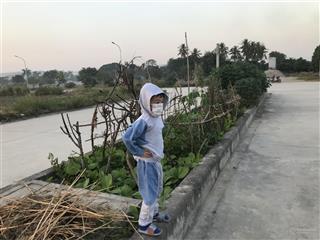 Chính chủ cần bán đất phúc thành kim thành hải dương