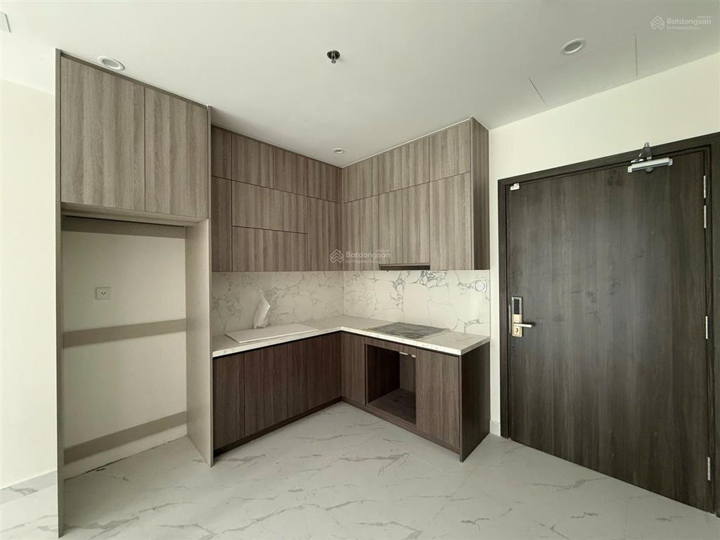 Bán căn hộ 1pn+ phòng đa năng 1wc 54m2 giá 4,183 tỷ the opus one vinhomes grand park