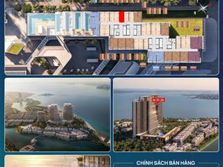 Căn hộ studio, nhỏ gọn nhưng giá trị vượt trội