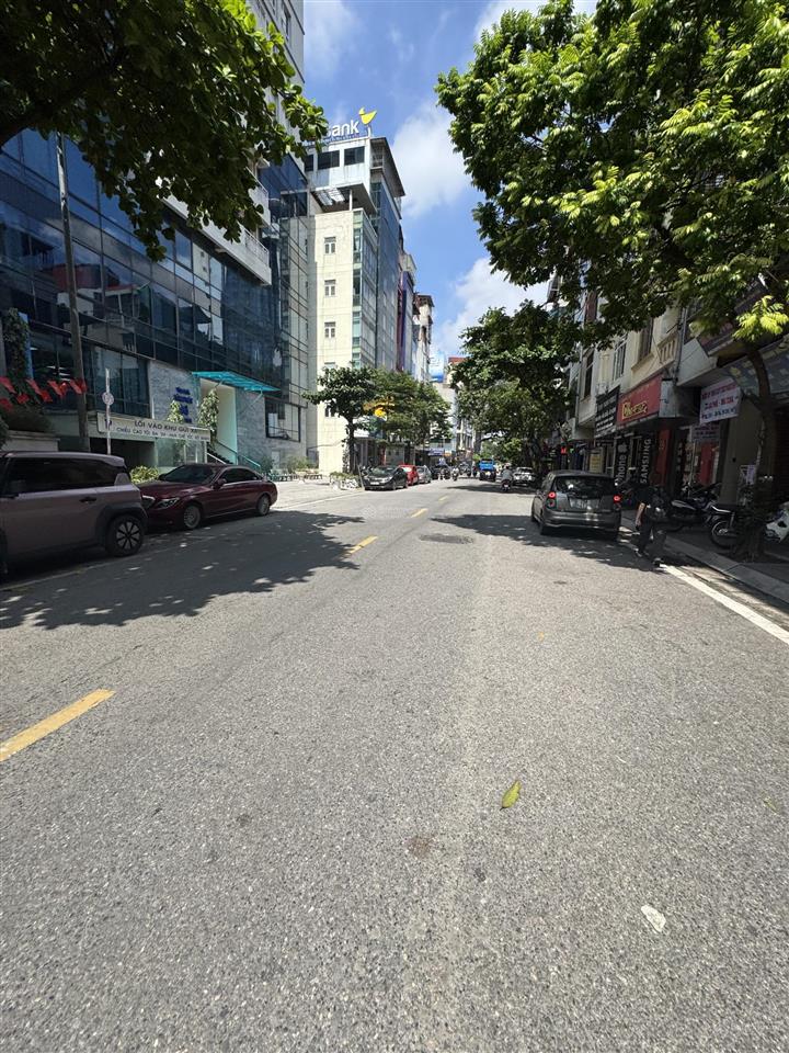 Toà vp mặt phố trần thái tông vỉa hè rộng 3m 7 tầng có hầm dòng tiền 1.5 tỷ/ năm 100m2 mt6m 62 ty