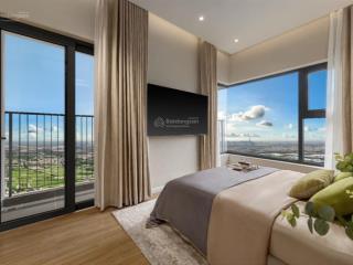 Rổ hàng giá sỉ elysian 1pn, 2pn, 3pn, penthouse trực tiếp từ cđt