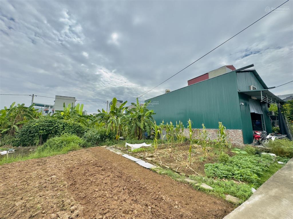 Đất dịch vụ lại yên  giá cực hợp lý