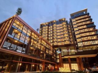 Bán shophouse 75 tỷ đã có sổ galleria, đang cho thuê kinh doanh tốt, làm việc chính chủ