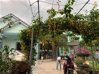 Bán đất phân lô, xây nhà trọ, biệt thự nhà vườn phường bạch sam, mỹ hào, hưng yên, 15 tỷ, 485m2
