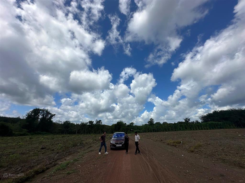 Chủ kẹt tiền cần bán đất nền 1100m2 tại xã tân lợi, đồng phú, giá chỉ 300 triệu, công chứng ngay