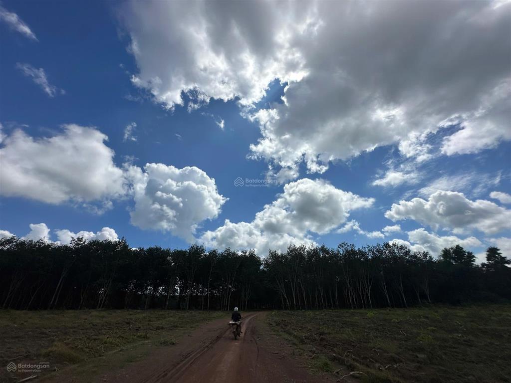 Chủ kẹt tiền cần bán đất nền 1100m2 tại xã tân lợi, đồng phú, giá chỉ 300 triệu, công chứng ngay