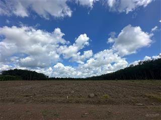 Chủ kẹt tiền cần bán đất nền 1100m2 tại xã tân lợi, đồng phú, giá chỉ 400 triệu, mặt tiền rộng 10m