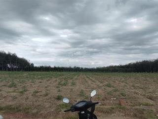 Cuối năm chủ cần ra gấp lô đất xào 1033m2 tại tân hòa, đồng phú, giá 520tr bao sang tên ra sổ