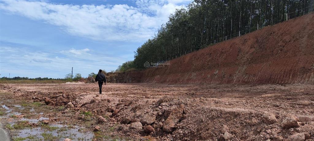 Bán vội lô đất ngay sau kcn bắc đồng phú, 250m2 có 50m2 odt, giá 310tr, shr bao sang tên