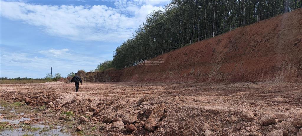 Bán vội lô đất ngay sau kcn bắc đồng phú, 250m2 có 50m2 odt, giá 310tr, shr bao sang tên