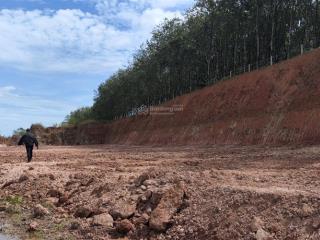 Bán vội lô đất ngay sau kcn bắc đồng phú, 250m2 có 50m2 odt, giá 310tr, shr bao sang tên