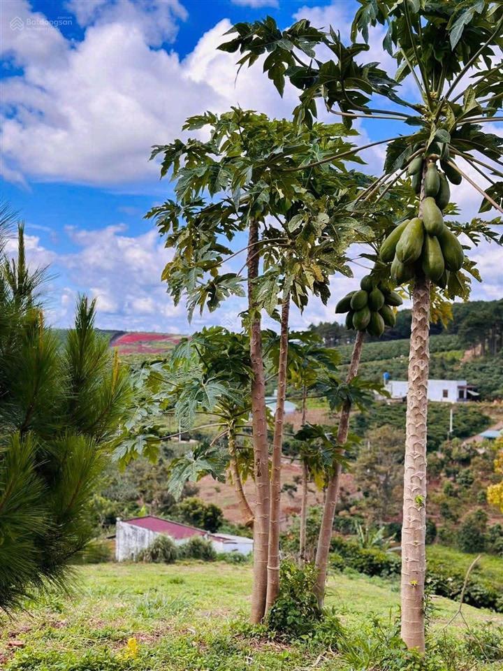 Bán lô đất 1050.8m2 làm nhà vườn nghỉ dưỡng, giá 450tr có view đồi như đà lạt, shr