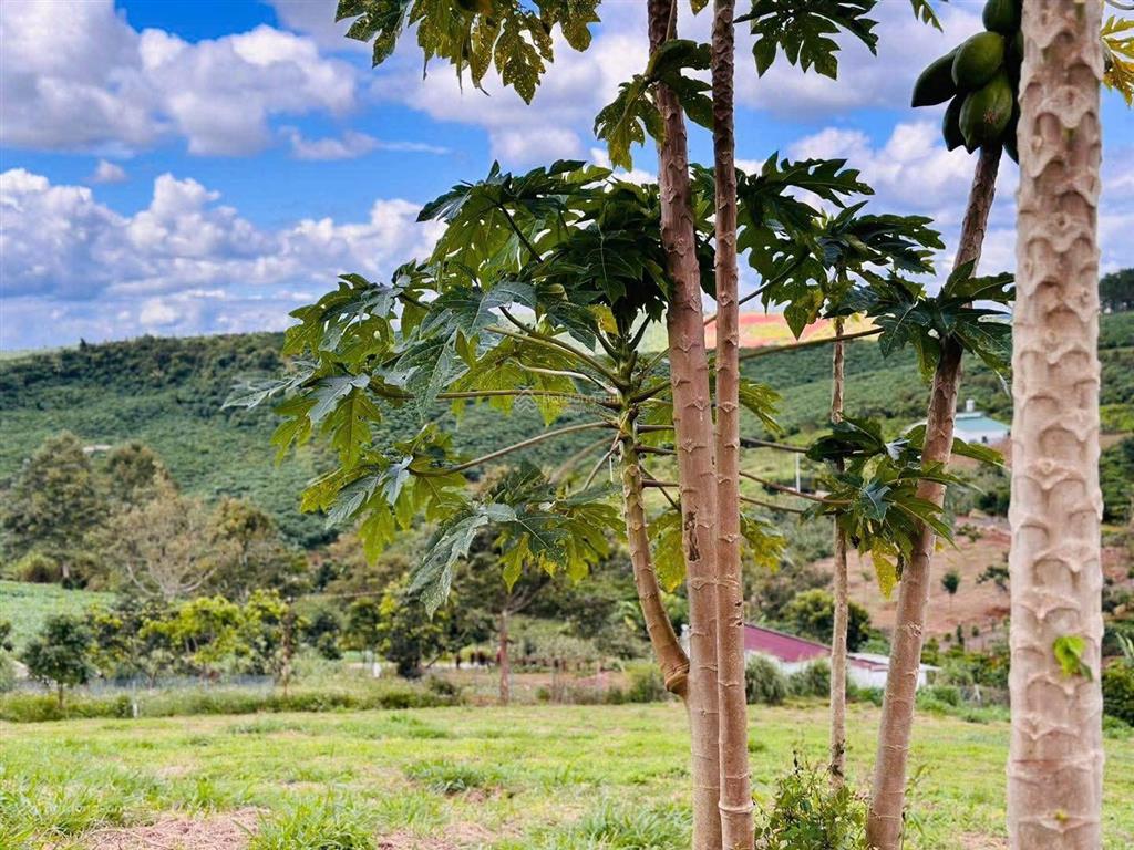 Bán lô đất 1050.8m2 làm nhà vườn nghỉ dưỡng, giá 450tr có view đồi như đà lạt, shr