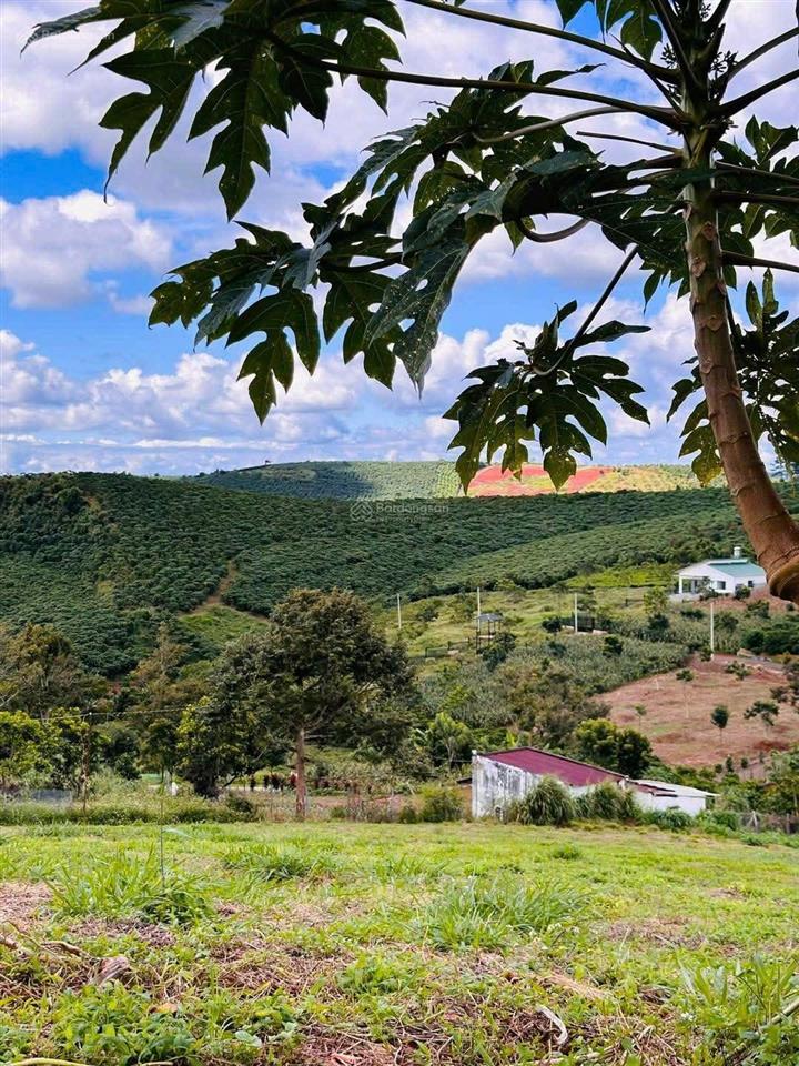 Bán lô đất 1050.8m2 làm nhà vườn nghỉ dưỡng, giá 450tr có view đồi như đà lạt, shr