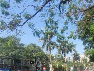 Bán nhà văn quán, 30m2, 4 tầng, ô tô đỗ cửa, giá 6.4 tỷ