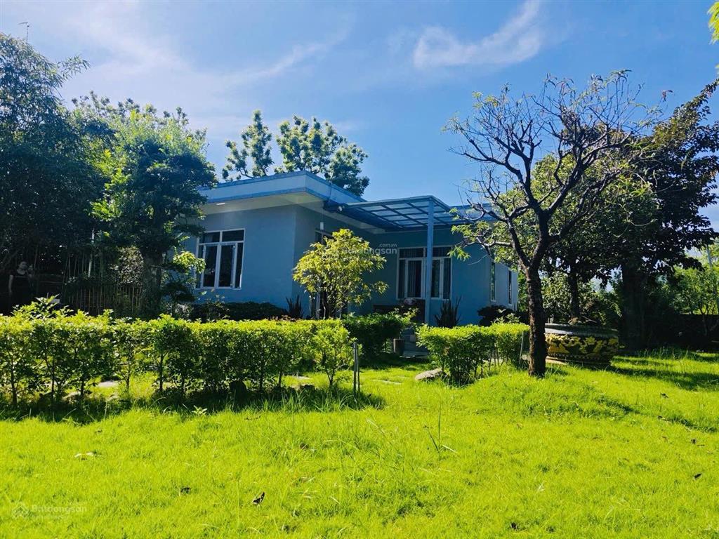 Cần bán gấp nhà vườn 880m2  xã phú cát. diện tích 880m2 vuông vắn, đẹp