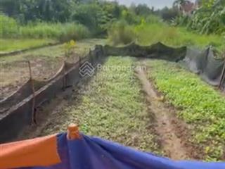 Bán đất vành đai 4, 26 triệu / m2, 113.9 m2, giá ưu đãi bao đẹp