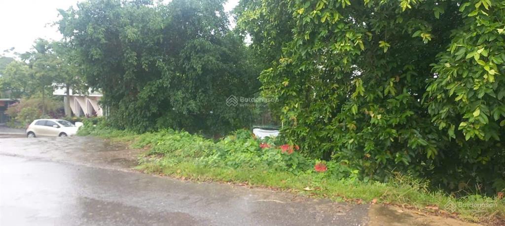 1.015m2 full thổ cư chu minh, ba vì, view sông, tựa đê sông hồng. sử dụng thực tế gần 2.000m2