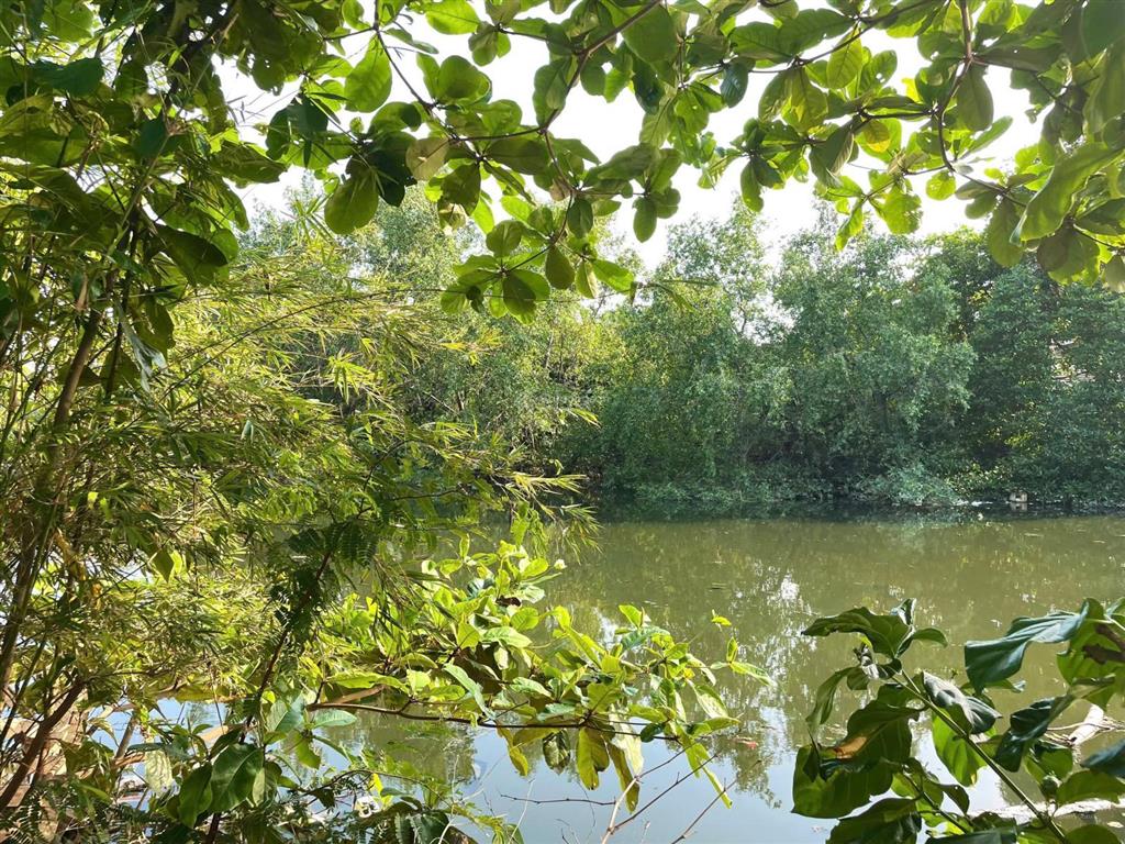 Bán nhà đẹp 2 mặt tiền ô tô kèm nhà trọ cho thuê.
sát cầu hộ phường ngọc hiệp, giá 6,3 tỷ tl