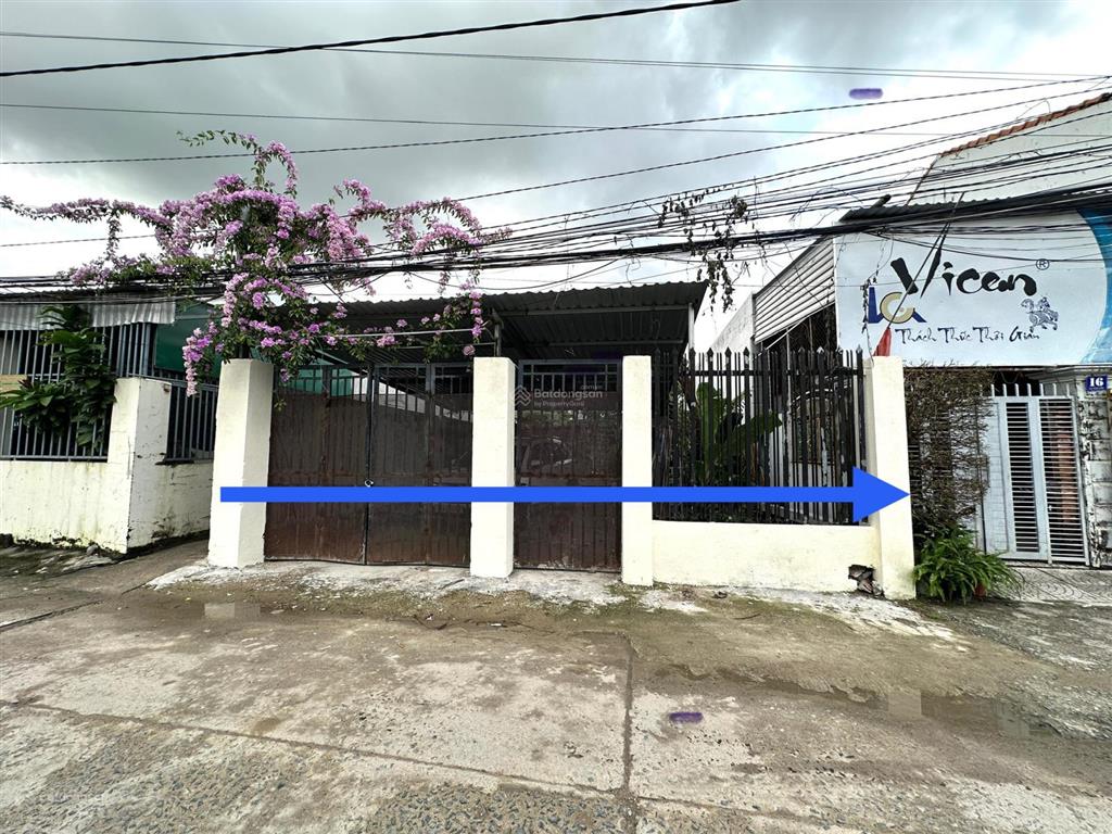 Bán lô đất vuông vắn trung tâm phước đồng, đẹp như hoa hậu, giá mềm như bông, chỉ 33 triệu/m2