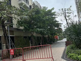 Quỹ căn cho thuê toà ecolife tây hồ