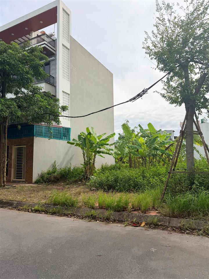 Tổng hợp các lô đất chính chủ giá tốt dự án newcity phố nối