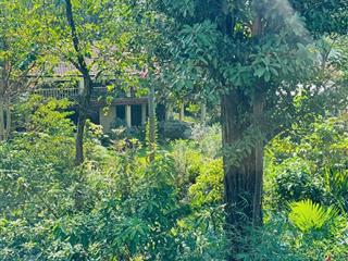 1/ nguyễn văn quá  gần biệt thự sân vườn người pháp