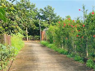Bán đất 2.885m2 (300m2 thổ cư) dọc trục tl769 gần kcn dầu giây, cách sân bay long thành 20 phút