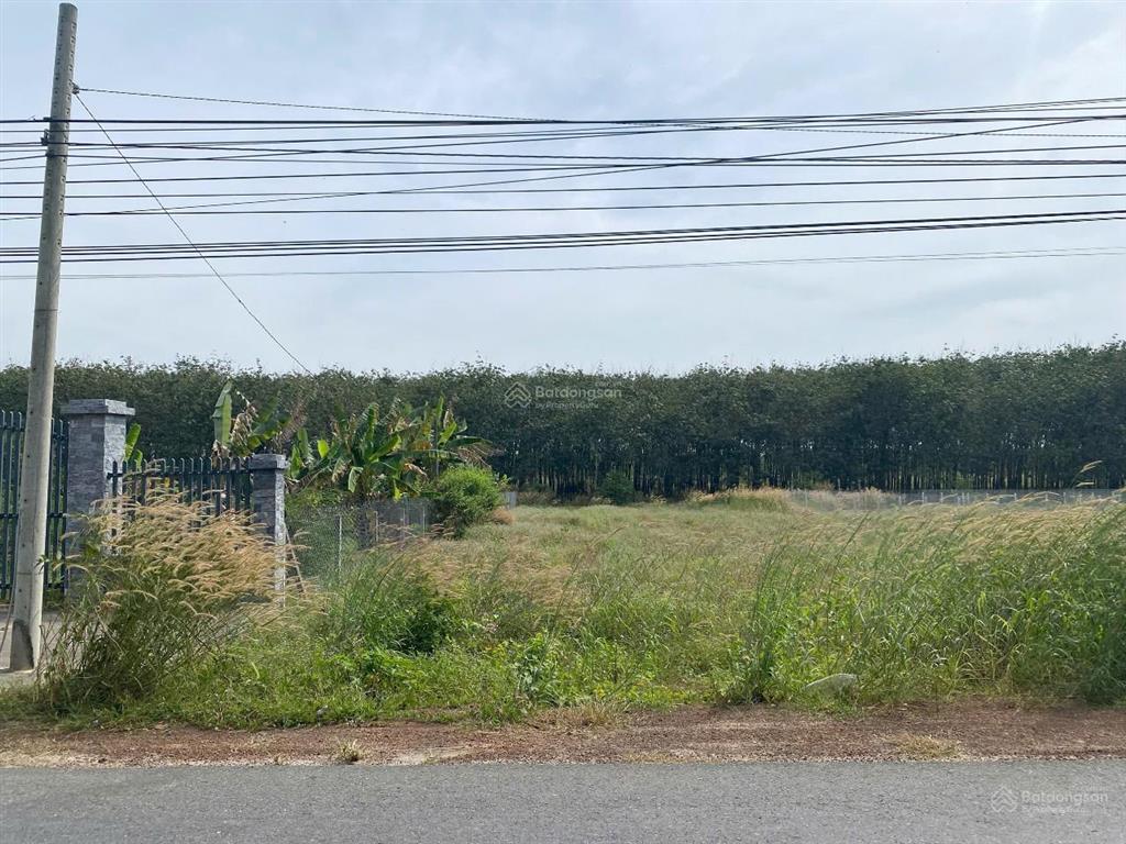 Bán đất tại đt 744, minh hòa, dầu tiếng, bình dương, 1,55 tỷ, 577 m2 chính chủ giá tốt