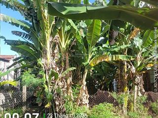 Hạ giá bán nhanh đất hẻm 68 đường cầu bè (hẻm xe máy)