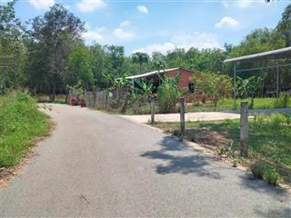 Cần bán gấp lô đất ngộp định hiệp, dầu tiếng 1,5 xào 850 triệu.