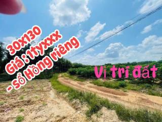 Bán đất tại xã minh thạnh, dầu tiếng, bình dương, 1,95 tỷ, 1290m2