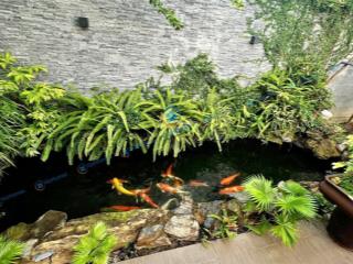 (ncc) cho thuê nhà sân vườn 2 tầng 200m2  gần trương quang được, khu nam hòa xuân