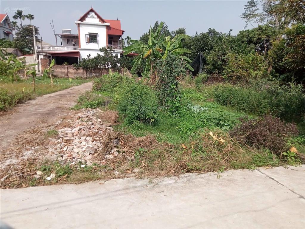 Em bán căn biệt 45m2 lô góc trạch mỹ lộc, phúc thọ, hn. cách ql32 chỉ 800m, xe 4c đỗ trước đất. .