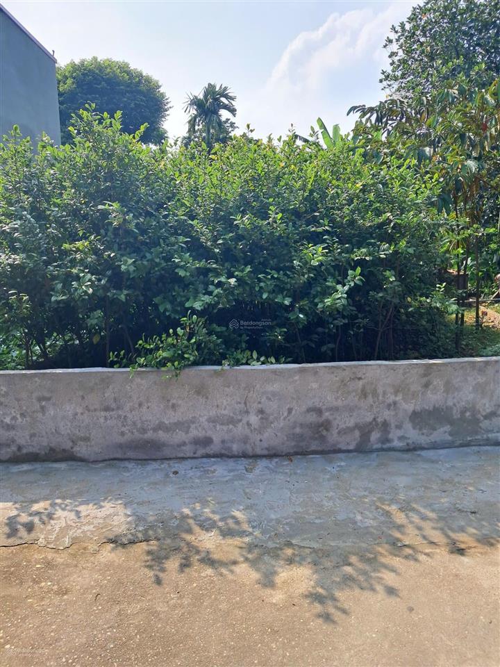 Cần bán 39.4m2 thị trấn phùng, đan phượng, hà nội