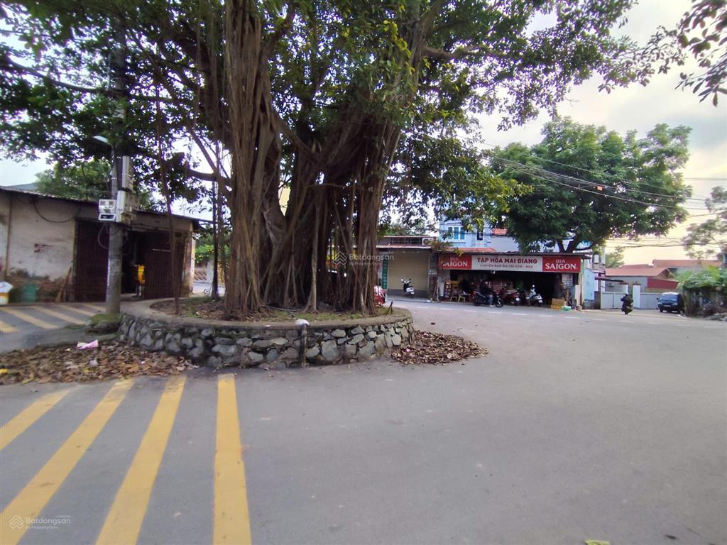 Chính chủ bán đất tại mê linh hà nội