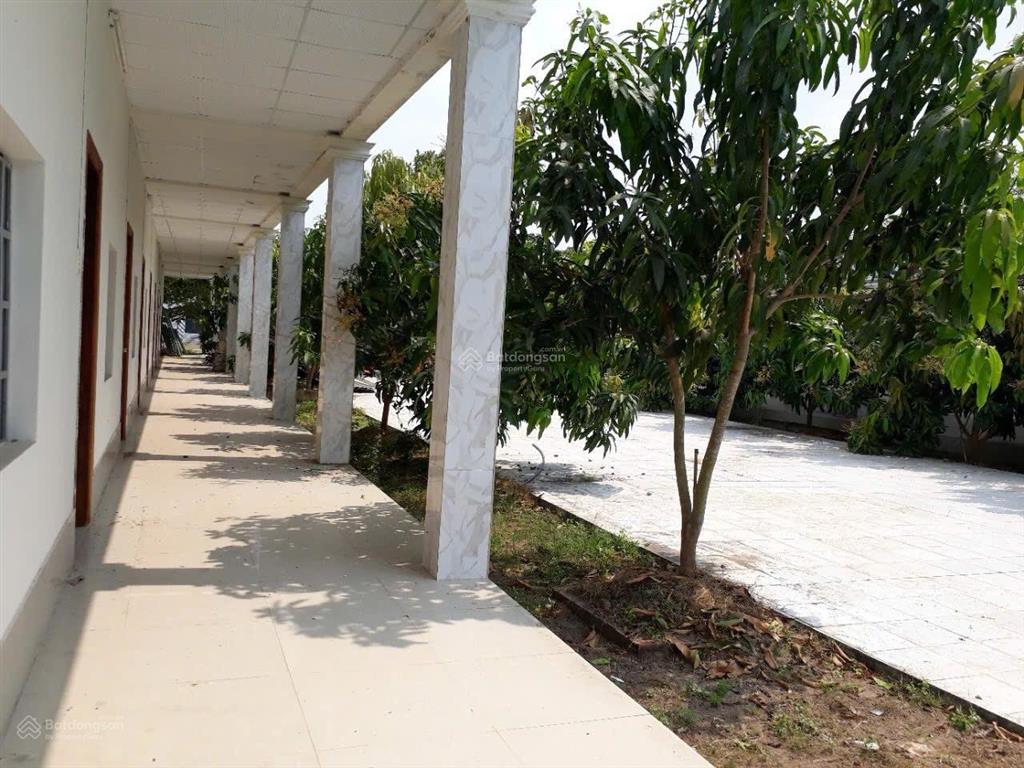 Bán đất có nhà đường bàu lách, xã phạm văn cội, củ chi