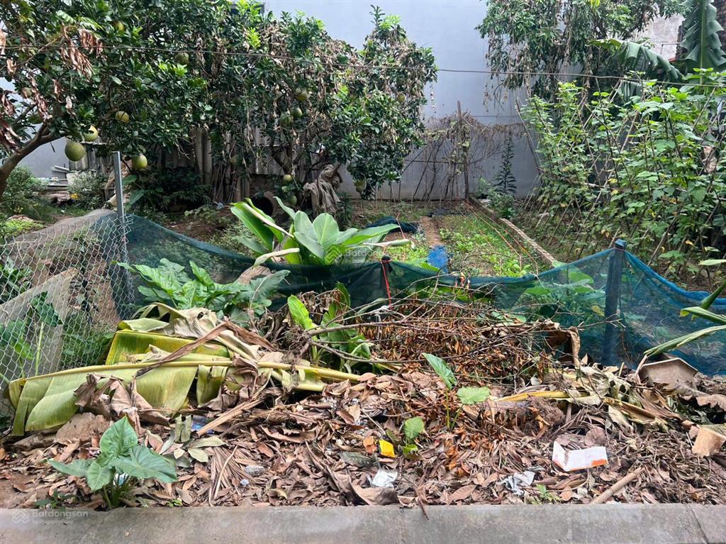 Tài chính nhỏ dễ thanh khoản đất hải bối  đông anh  48m  full thổ cư 4.37 tỷ