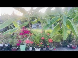 Giá mới chỉ 4.8 tỷ (tl) hxh 10m thạnh xuân 25 q12  106m2 full thổ cư