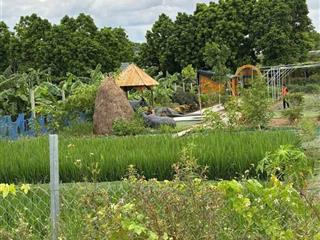 Mảnh đất 50 năm, vị trí đẹp làm nhà vườn rất đẹp