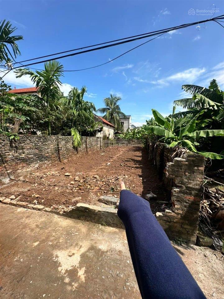 Mảnh đất 50 năm, vị trí đẹp làm nhà vườn rất đẹp