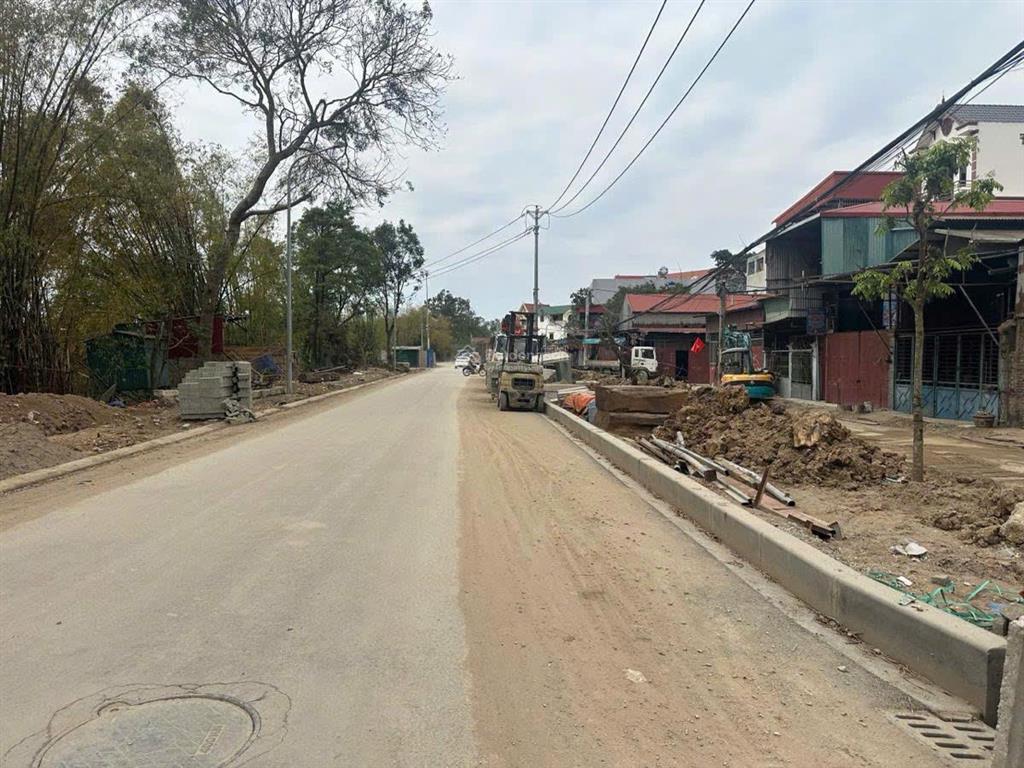 Bán đất đấu giá gần dự án đô thị đa mục tiêu và vin liên hà, 2 mặt thoáng tại thụy lôi, thư lâm