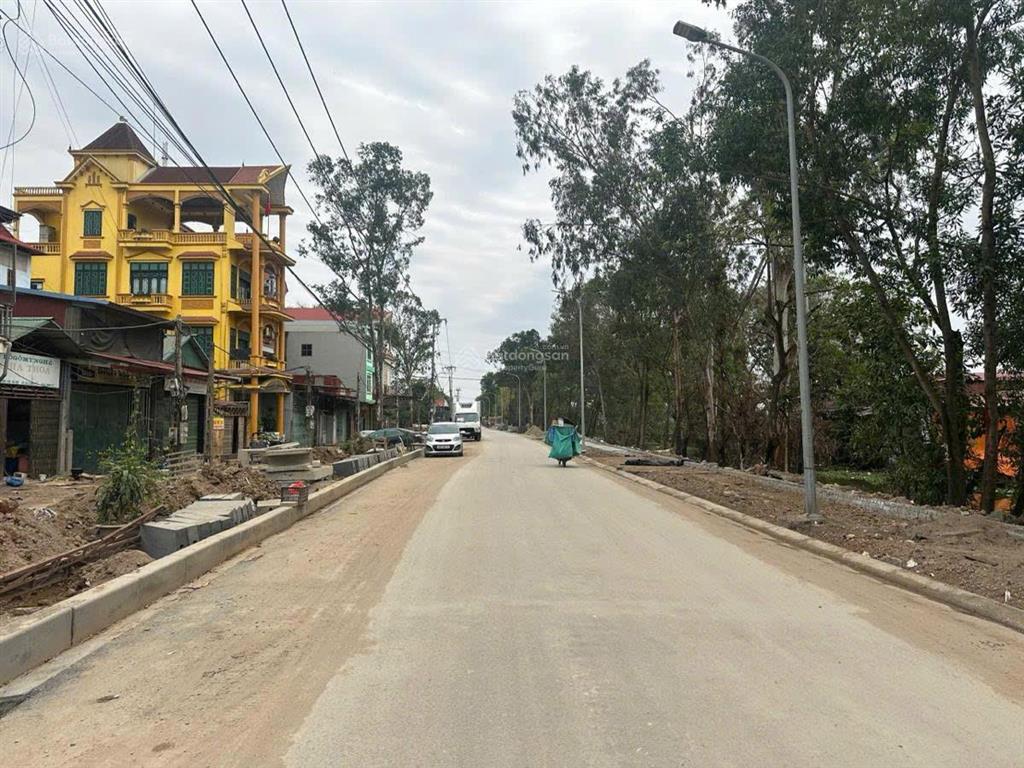 Bán đất đấu giá gần dự án đô thị đa mục tiêu và vin liên hà, 2 mặt thoáng tại thụy lôi, thư lâm